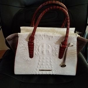 Brahmin Priscilla